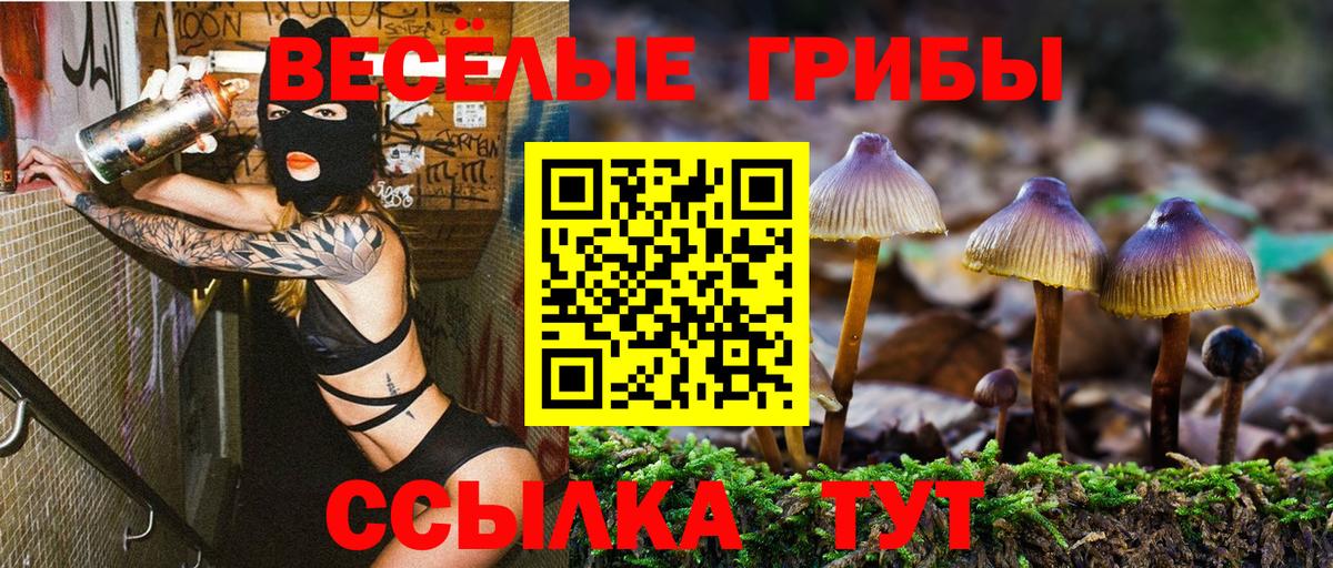 Галлюциногенные грибы GOLDEN TEACHER Партизанск